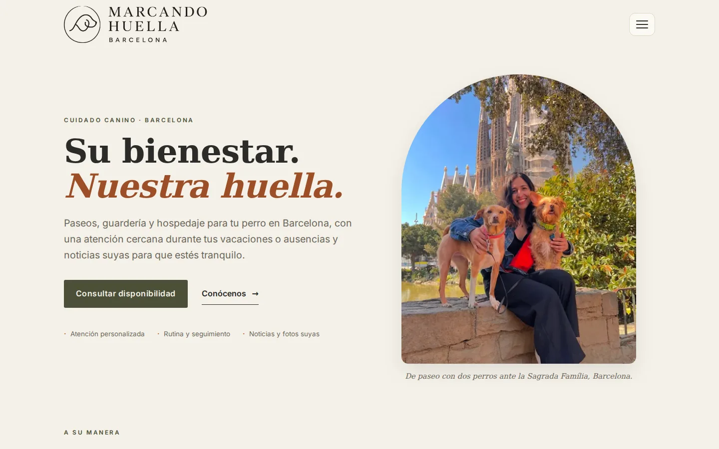 Aperçu du site Marcando Huella sur ordinateur