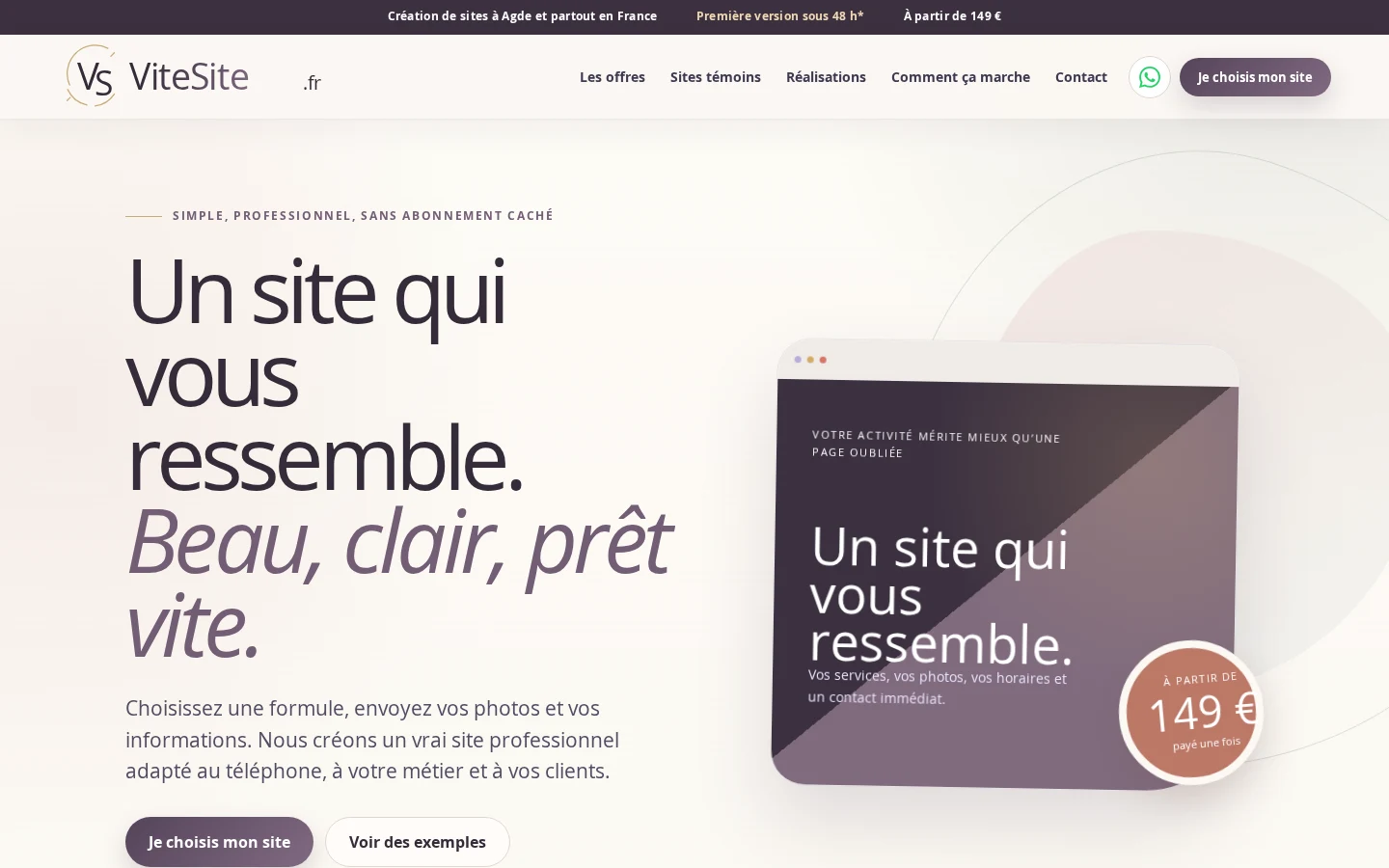 Aperçu de la page d’accueil de ViteSite.fr sur ordinateur